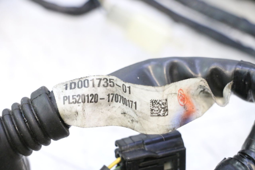 photo de KABELBAUM PIAGGIO MP3 500 (2016 - 2018) - Technische Nahaufnahme