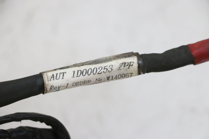 photo de KABELBAUM PIAGGIO NEW TYPHOON 50 (2010 - 2017) - Detailansicht des Bauteils