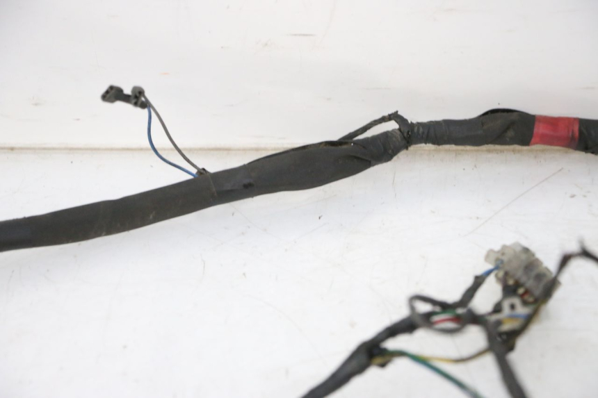 photo de KABELBAUM PIAGGIO NEW TYPHOON 50 (2010 - 2017) - Kennzeichnungen und Originalreferenzen