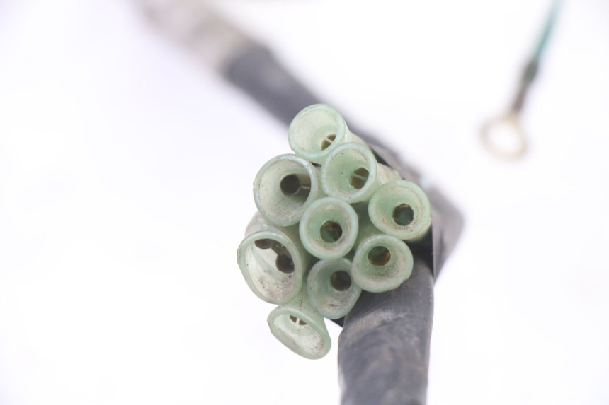 photo de KABELBAUM HONDA NTV DEAUVILLE 650 (2001 - 2006) - Alternative Perspektive