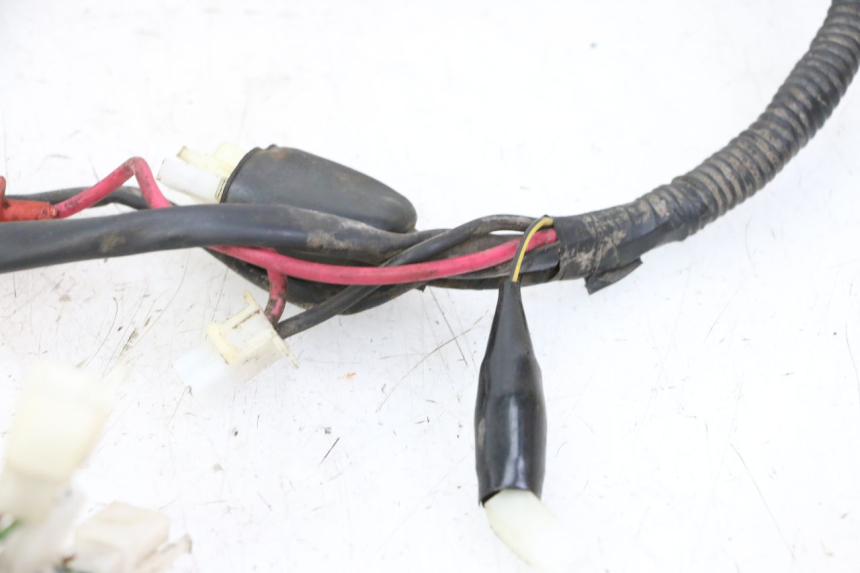 photo de KABELBAUM IMF INDUSTRIE PACH 2T 50 (2009 - 2018) - Charakteristische Merkmale