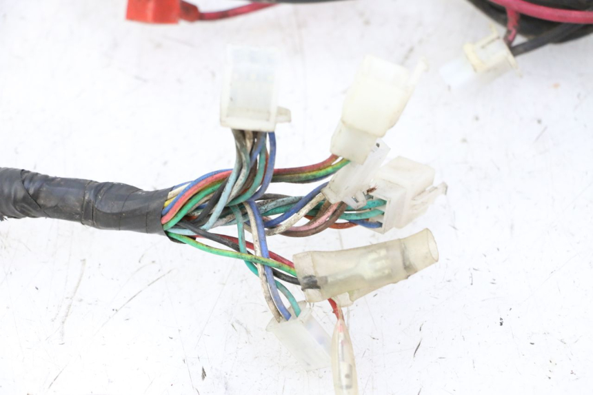 photo de KABELBAUM IMF INDUSTRIE PACH 2T 50 (2009 - 2018) - Zoom auf Komponenten