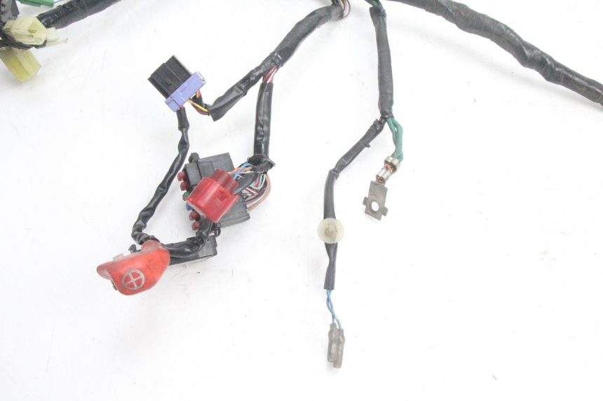photo de KABELBAUM HONDA PCX (JF28) 125 (2009 - 2011) - Technische Nahaufnahme