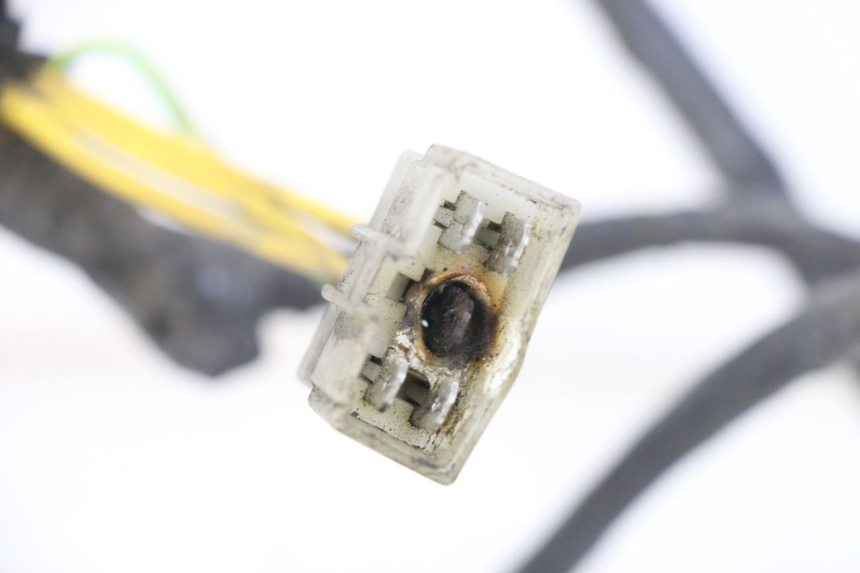 photo de KABELBAUM PEUGEOT ELYSTAR 125 (2002 - 2007) - Gesamtansicht des Produkts