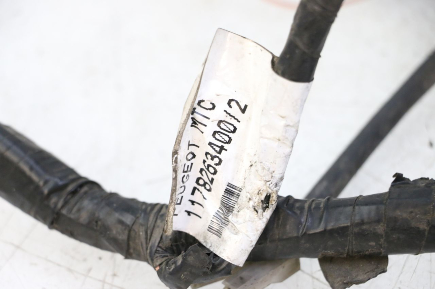 photo de KABELBAUM PEUGEOT SATELIS 125 (2013 - 2018) - Technische Nahaufnahme