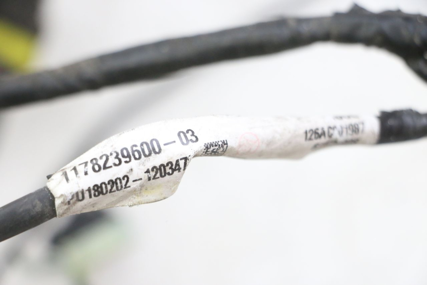 photo de KABELBAUM PEUGEOT SATELIS 125 (2013 - 2018) - Zoom auf Gebrauchszustand