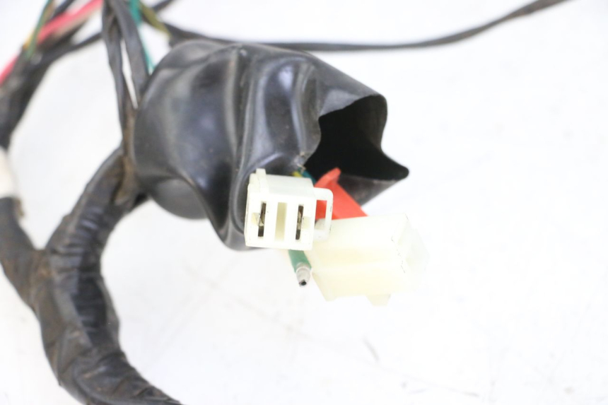 photo de KABELBAUM PEUGEOT TWEET 4T 50 (2014 - 2019) - Zoom auf Gebrauchszustand