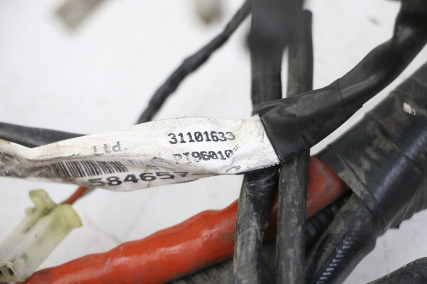 photo de KABELBAUM PIAGGIO VESPA GRANTURISMO 200 (2004 - 2005) - Detailansicht des Bauteils