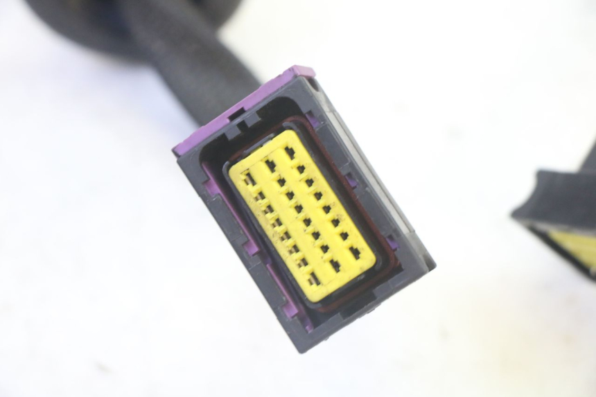 photo de KABELBAUM LIGIER PULSE 3 1 (2014 - 2020) - Alternative Perspektive