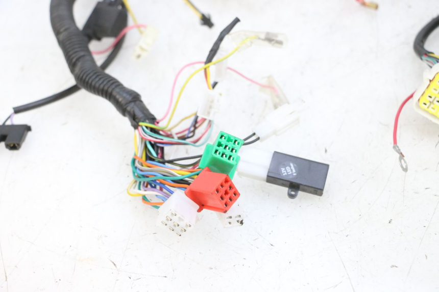 photo de KABELBAUM EFUN PUSA 1 - Weitere Ansicht des Artikels