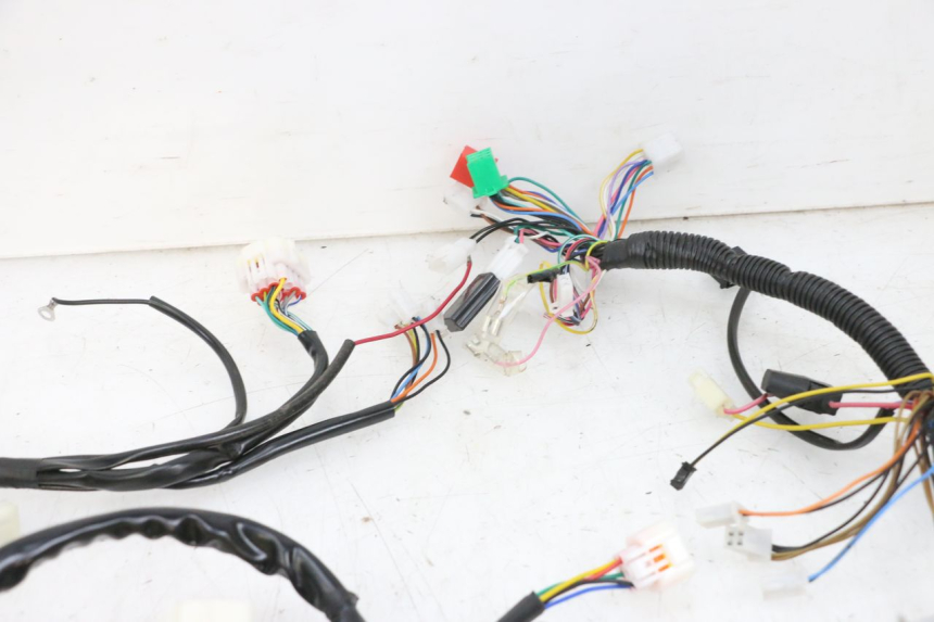 photo de KABELBAUM EFUN PUSA 1 - Alternative Perspektive