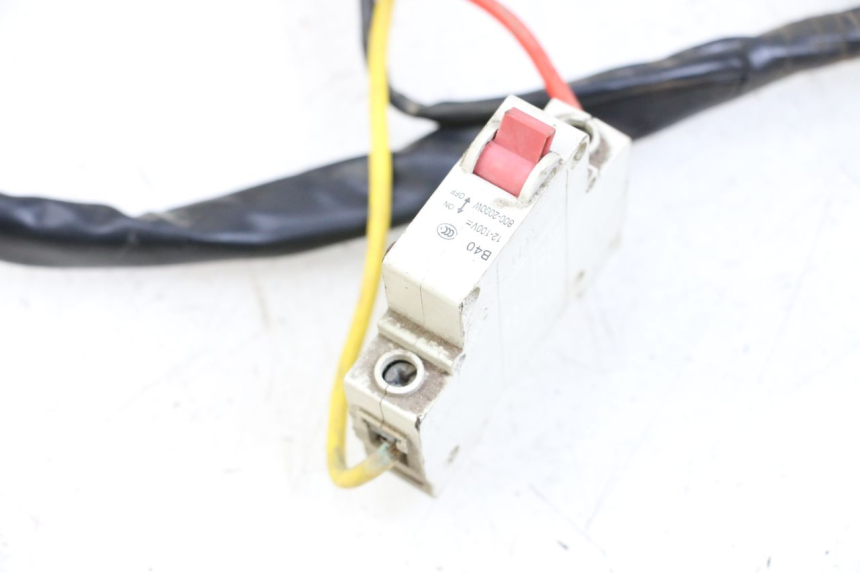 photo de KABELBAUM DOLPHIN PYGMY 1 (2020 - 2024) - Detailansicht des Bauteils