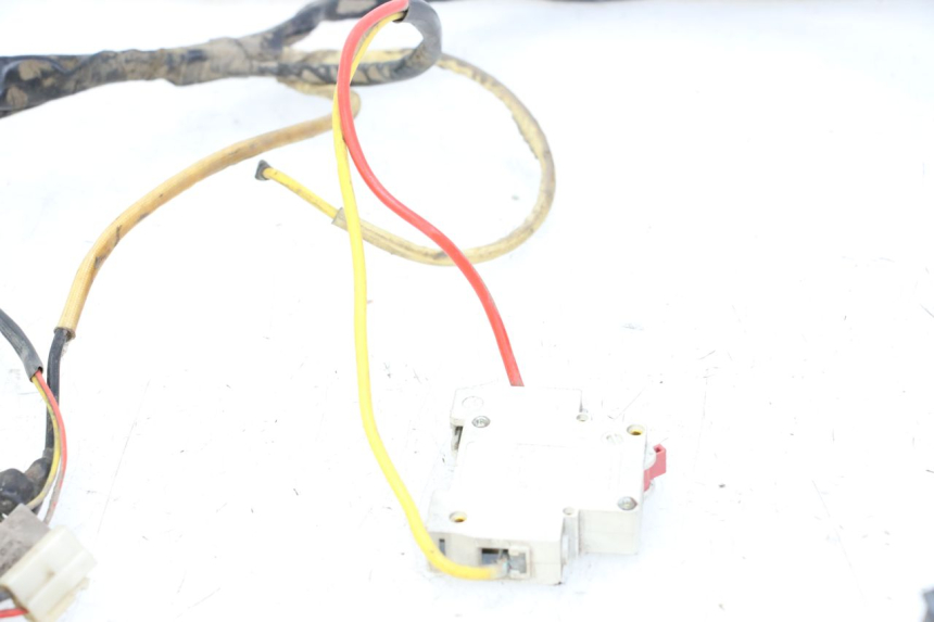 photo de KABELBAUM DOLPHIN PYGMY 1 (2020 - 2024) - Gesamtansicht des Produkts