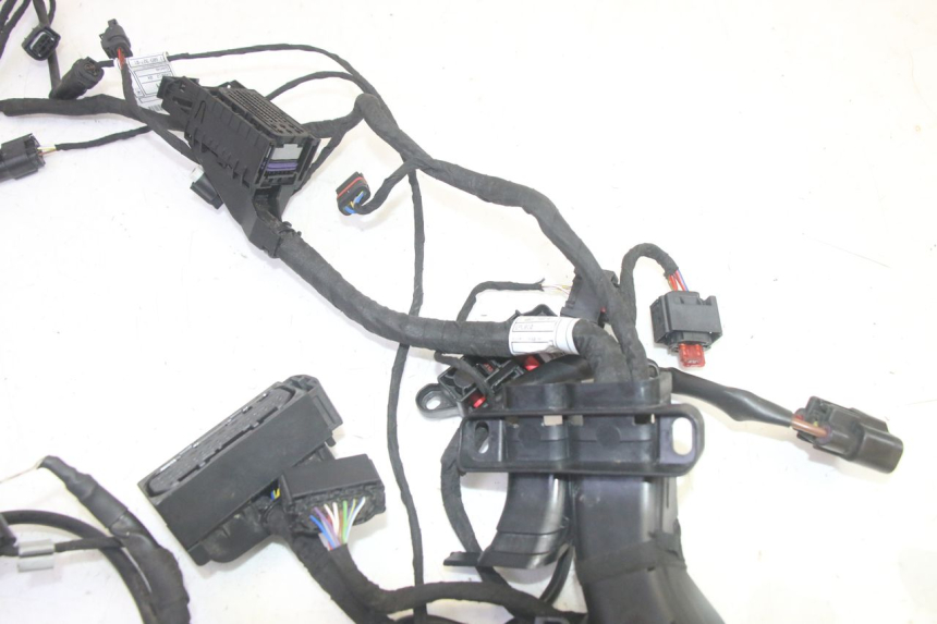 photo de KABELBAUM BMW R GS 1250 (2021 - 2024) - Zoom auf Gebrauchszustand