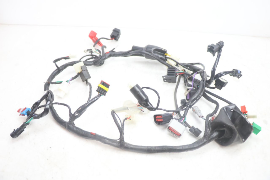 photo de KABELBAUM JM MOTORS R-MAX TECH 50 (2024 - 2026) - Hauptansicht