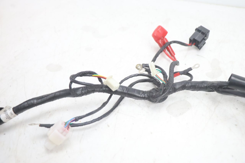 photo de KABELBAUM JM MOTORS R-MAX TECH 50 (2024 - 2026) - Alternative Perspektive