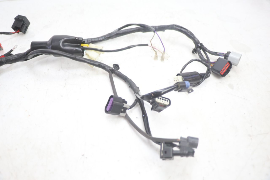 photo de KABELBAUM JM MOTORS R-MAX TECH 50 (2024 - 2026) - Technische Nahaufnahme