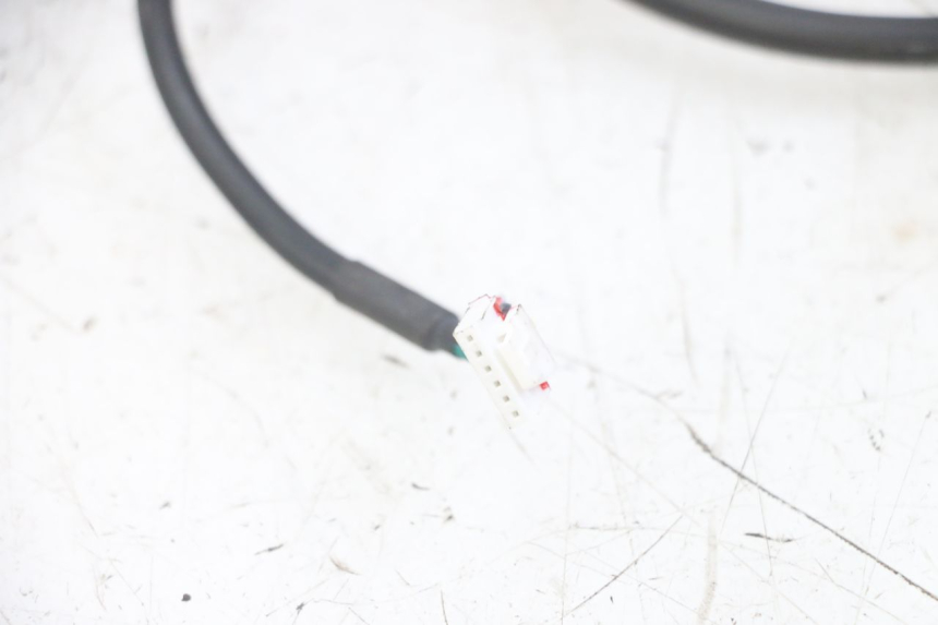 photo de KABELBAUM PUNK ELECTRIC RIDER 1 - Alternative Perspektive