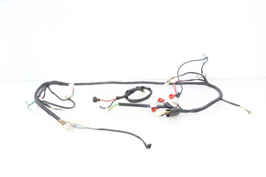 photo de KABELBAUM TNT MOTOR ROMA 10' 2T 50 (2011 - 2018) - Hauptansicht