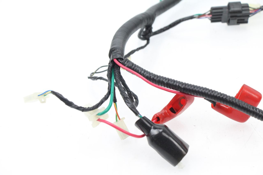 photo de KABELBAUM TNT MOTOR ROMA 10' 4T 50 (2007 - 2018) - Geprüftes Gebrauchtteil