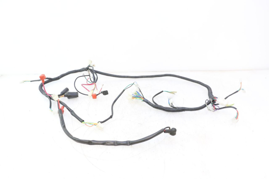 photo de KABELBAUM TNT MOTOR ROMA 12' 2T 50 (2007 - 2018) - Hauptansicht
