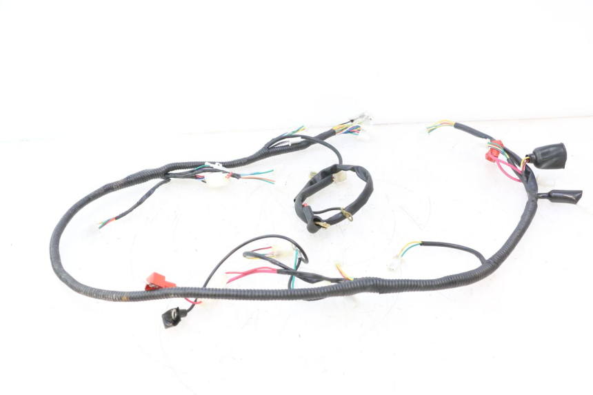 photo de KABELBAUM TNT MOTOR ROMA 12' 2T 50 (2007 - 2018) - Technische Nahaufnahme