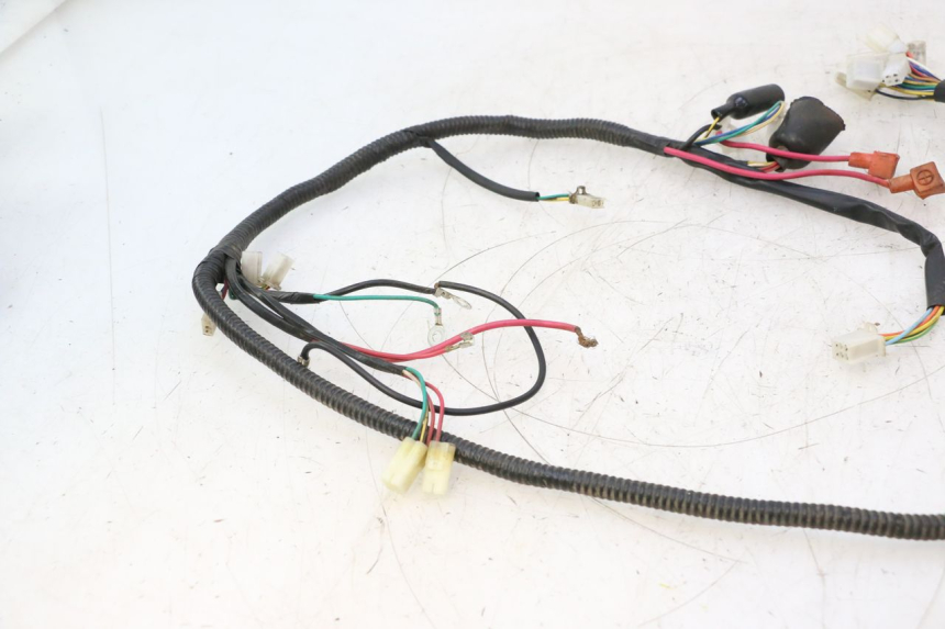 photo de KABELBAUM TNT MOTOR ROMA 12' 2T 50 (2007 - 2018) - Technische Nahaufnahme