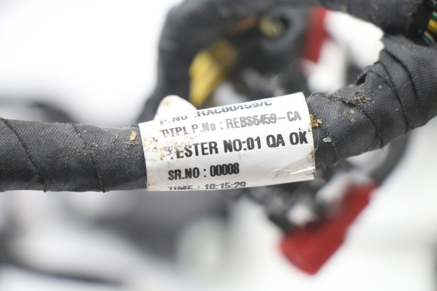 photo de KABELBAUM ROYAL ENFIELD HYMALAYAN 410 (2016 - 2023) - Fokus auf die Struktur