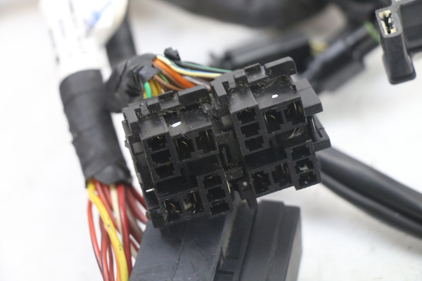 photo de KABELBAUM ROYAL ENFIELD HYMALAYAN 410 (2016 - 2023) - Alternative Perspektive