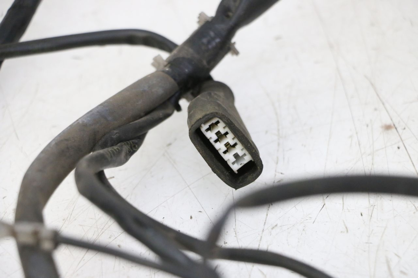 photo de KABELBAUM GILERA RUNNER SP 50 (2009 - 2017) - Gesamtansicht des Produkts