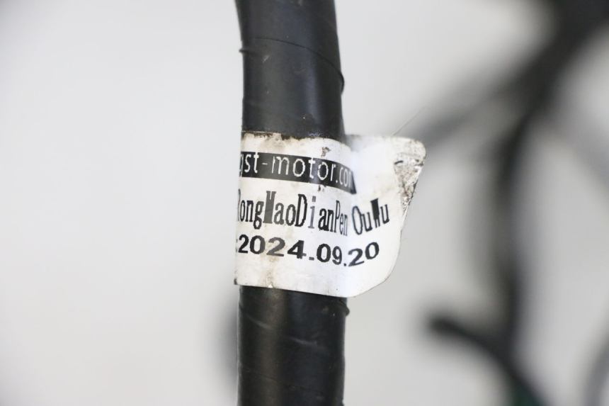 photo de KABELBAUM JM MOTORS SANTANA EVO 50 (2024 - 2026) - Alternative Perspektive