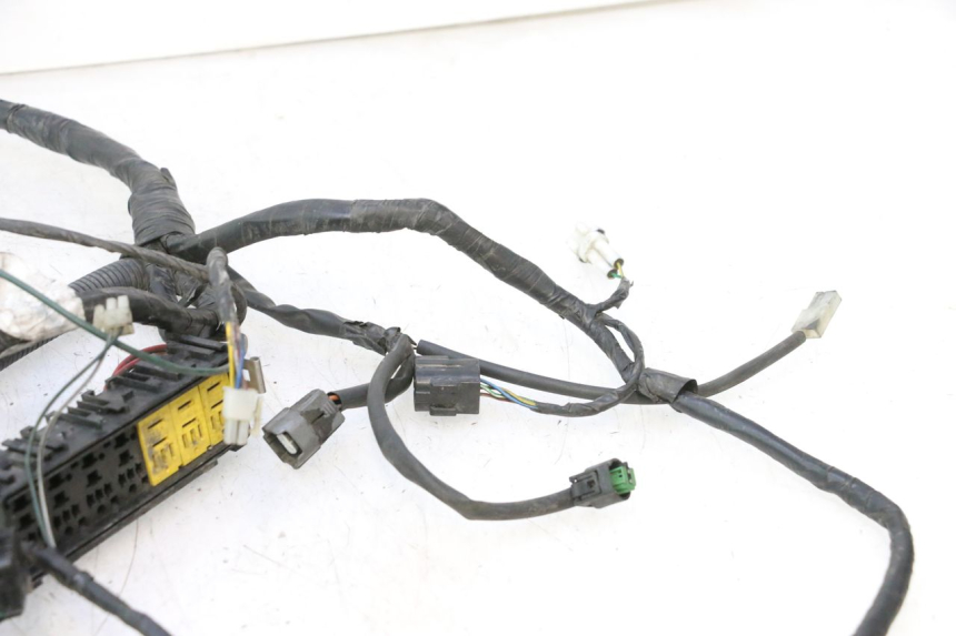 photo de KABELBAUM PEUGEOT SATELIS 125 (2006 - 2009) - Gesamtansicht des Produkts