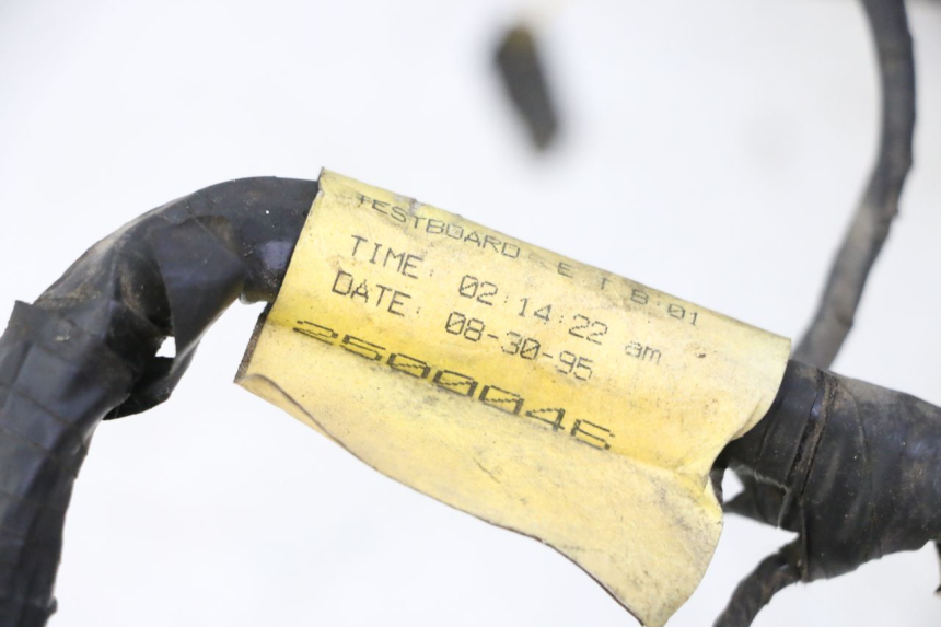 photo de KABELBAUM TRIUMPH SPRINT 900 (1995 - 1998) - Alternative Perspektive