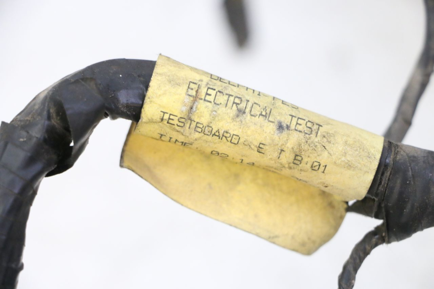 photo de KABELBAUM TRIUMPH SPRINT 900 (1995 - 1998) - Technische Nahaufnahme