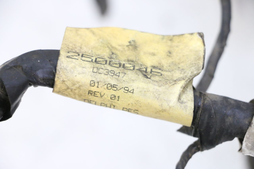 photo de KABELBAUM TRIUMPH SPRINT 900 (1995 - 1998) - Gesamtansicht des Produkts