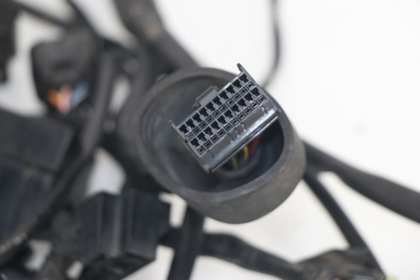 photo de KABELBAUM SUZUKI XF FREEWIND 650 (1997 - 2003) - Alternative Perspektive