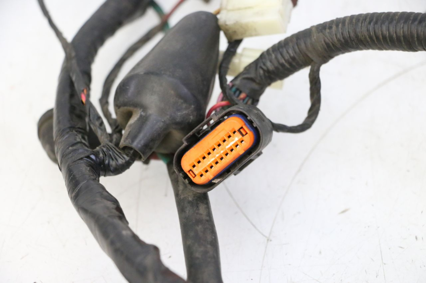 photo de KABELBAUM PEUGEOT TWEET PRO CARGO 50 (2018 - 2022) - Zoom auf Gebrauchszustand