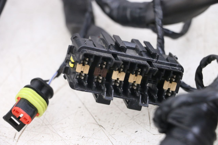 photo de KABELBAUM PIAGGIO VESPA PRIMAVERA 4T 50 (2021 - 2024) - Details der Befestigungspunkte