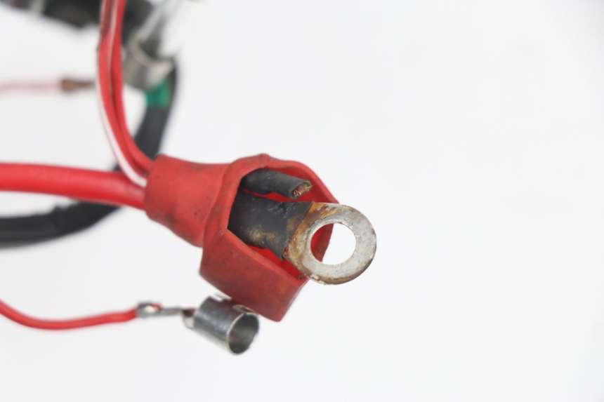 photo de KABELBAUM JM MOTORS VIPER 4T 50 (2015 - 2022) - Alternative Perspektive