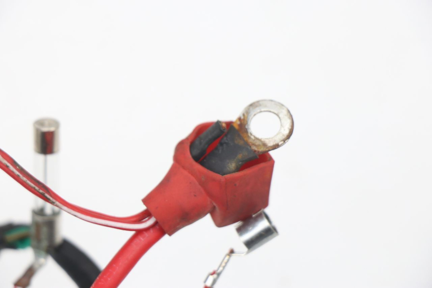 photo de KABELBAUM JM MOTORS VIPER 4T 50 (2015 - 2022) - Technische Nahaufnahme