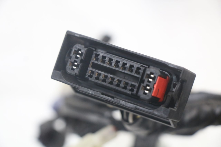 photo de KABELBAUM YAMAHA XMAX X-MAX ABS 125 (2017 - 2020) - Zoom auf Komponenten