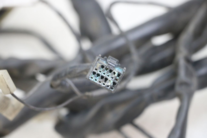 photo de KABELBAUM PIAGGIO X10 125 (2012 - 2017) - Details der Befestigungspunkte