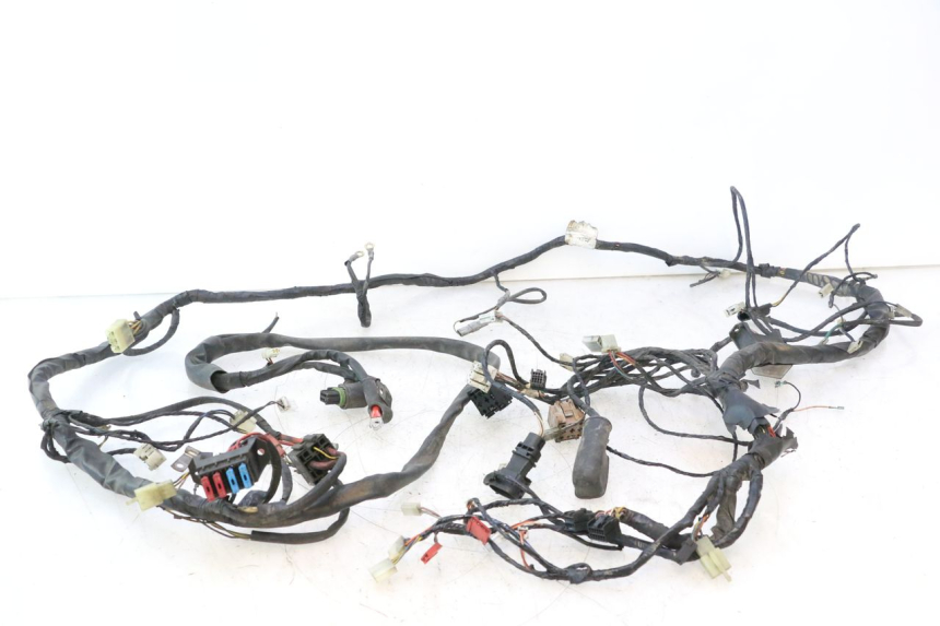 photo de KABELBAUM PIAGGIO X9 AMALFI 180 (2000 - 2003) - Hauptansicht