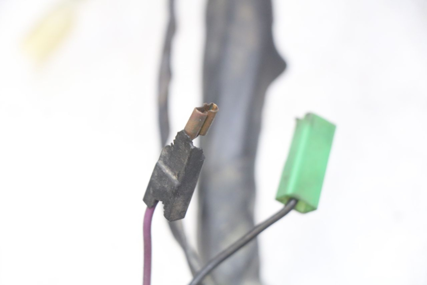 photo de KABELBAUM PIAGGIO XEVO - X EVO 125 (2007 - 2017) - Detailansicht des Bauteils