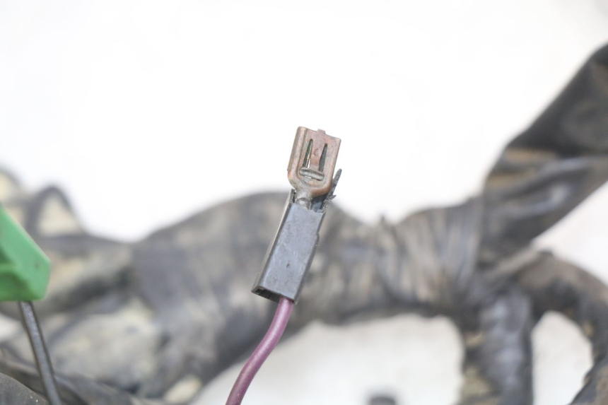 photo de KABELBAUM PIAGGIO XEVO - X EVO 125 (2007 - 2017) - Zoom auf Gebrauchszustand