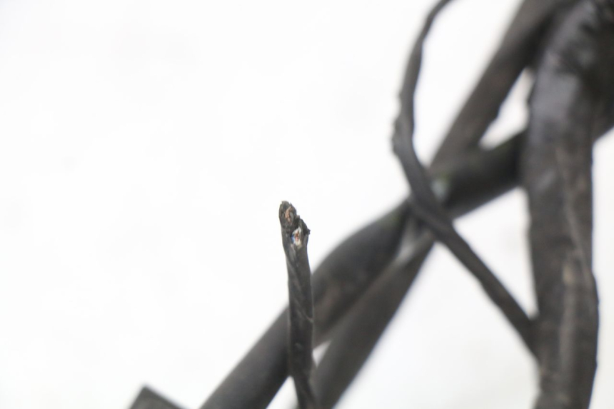 photo de KABELBAUM PIAGGIO XEVO - X EVO 125 (2007 - 2017) - Weitere Ansicht des Artikels