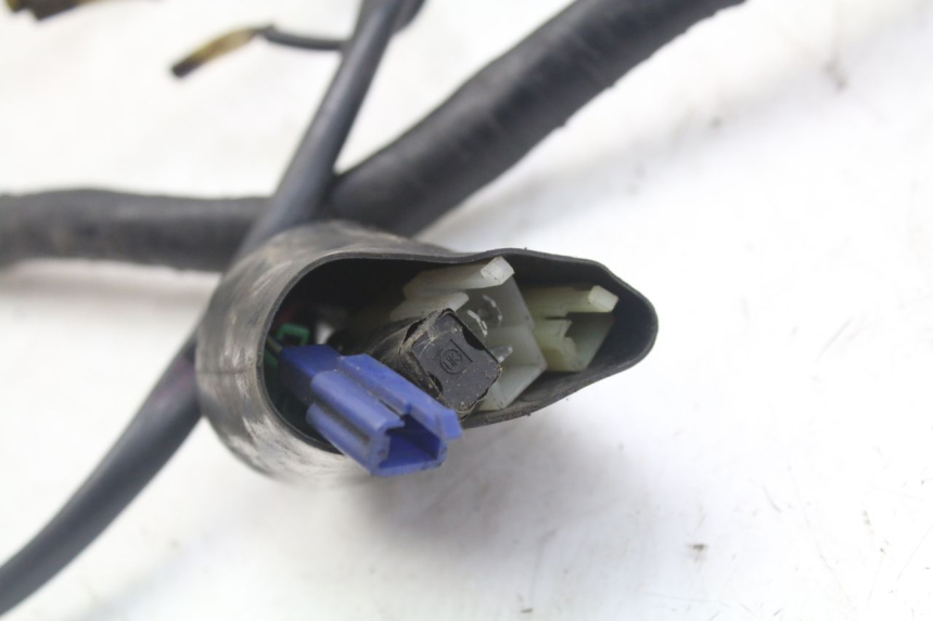 photo de KABELBAUM YAMAHA XJN DIVERSION 600 (2000 - 2003) - Detailansicht des Bauteils