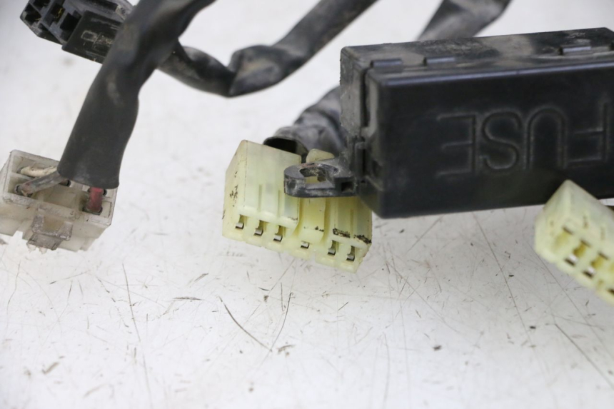 photo de KABELBAUM YAMAHA XJN DIVERSION 600 (2000 - 2003) - Charakteristische Merkmale