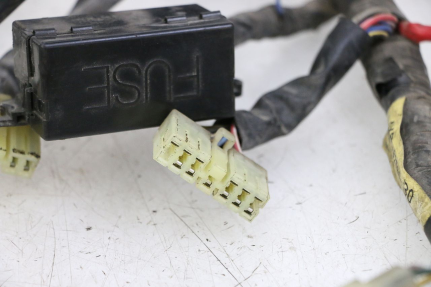 photo de KABELBAUM YAMAHA XJN DIVERSION 600 (2000 - 2003) - Zoom auf Komponenten