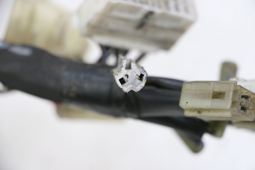 photo de KABELBAUM YAMAHA FZ6 FAZER S2 600 (2007 - 2011) - Gesamtansicht des Produkts